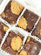 Chocolate Revel Bar